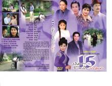 Mười lăm năm tình hận (Ngọc Huyền, Vũ Linh)