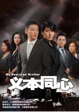 Nghĩa nặng tình thâm (Đại nghĩa diệt thân)